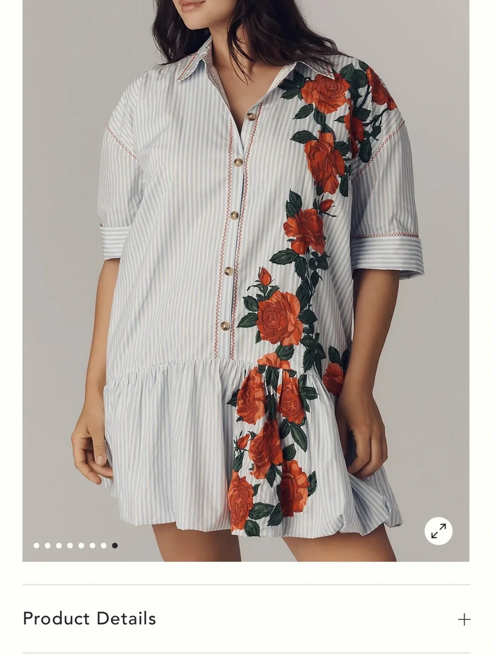 Maeve White & Green Striped Mini Dress with Red Rose Appliqué - Picture 9 of 9